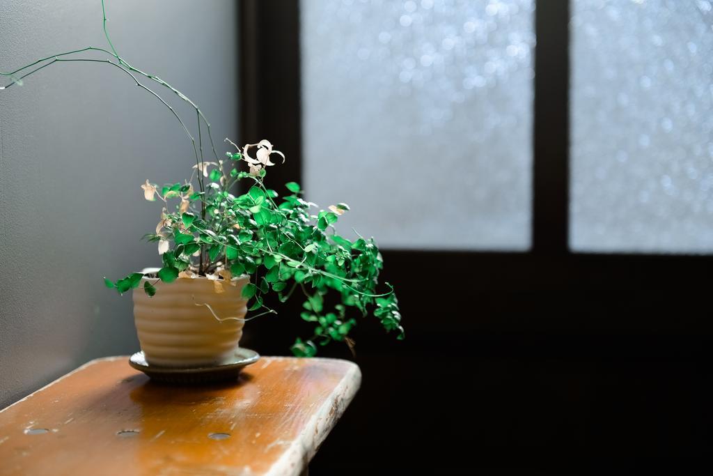 Nanni Saiin Machiya Villa Kyoto Luaran gambar